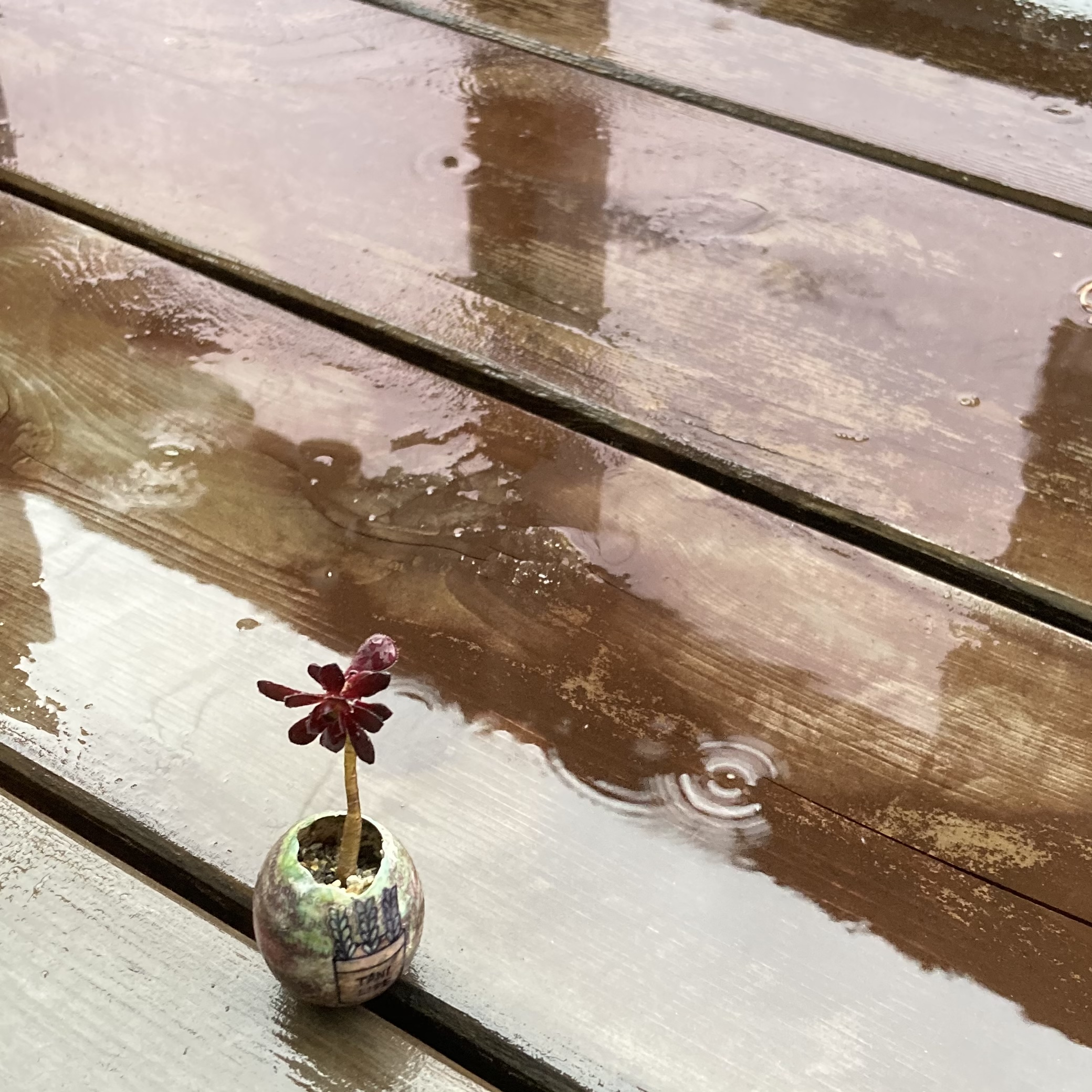 早寝早起き《こんな時間に寝たら何時に起きるのだろうか。。。怖いな》