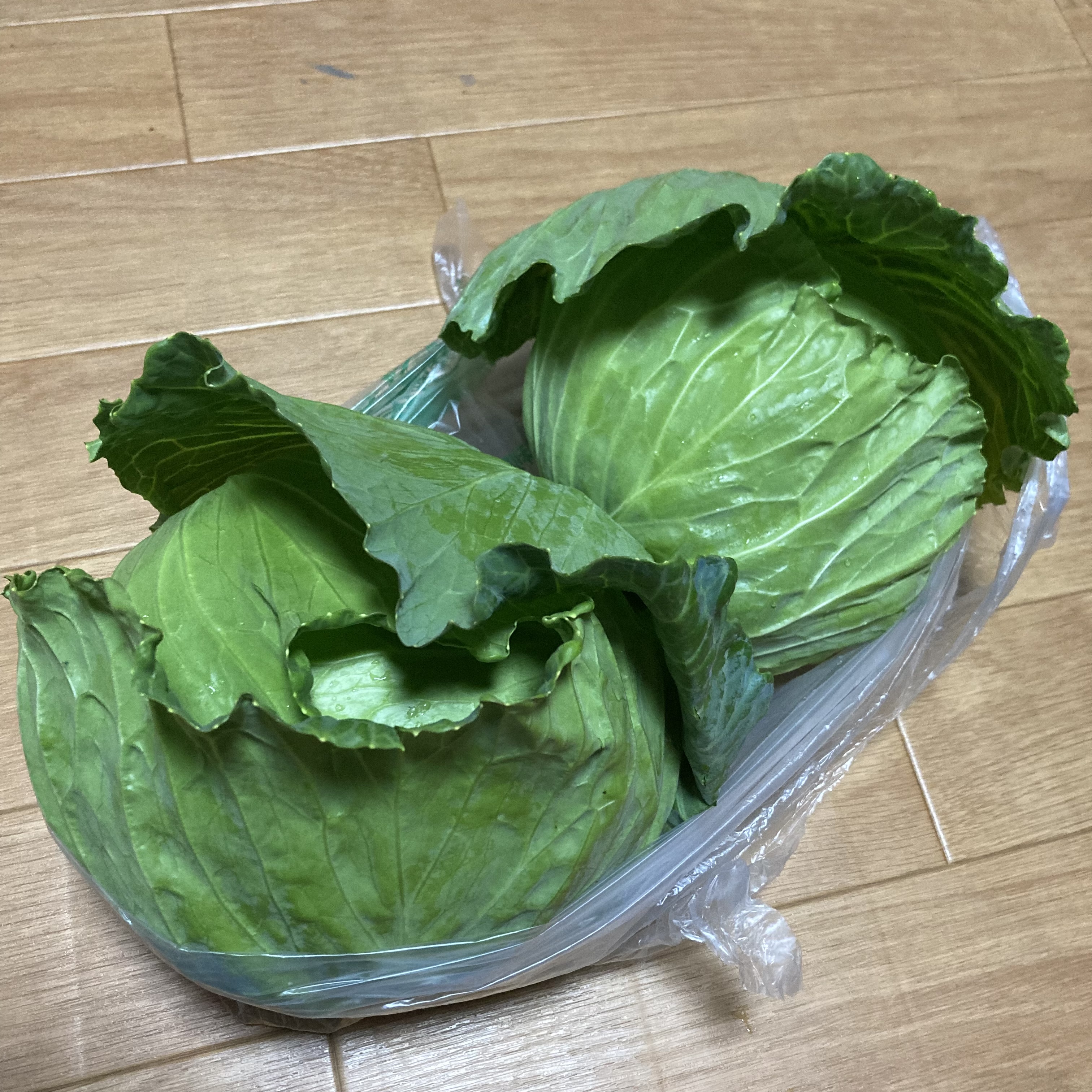 自然界には敵わない《敵わないけど叶った話》