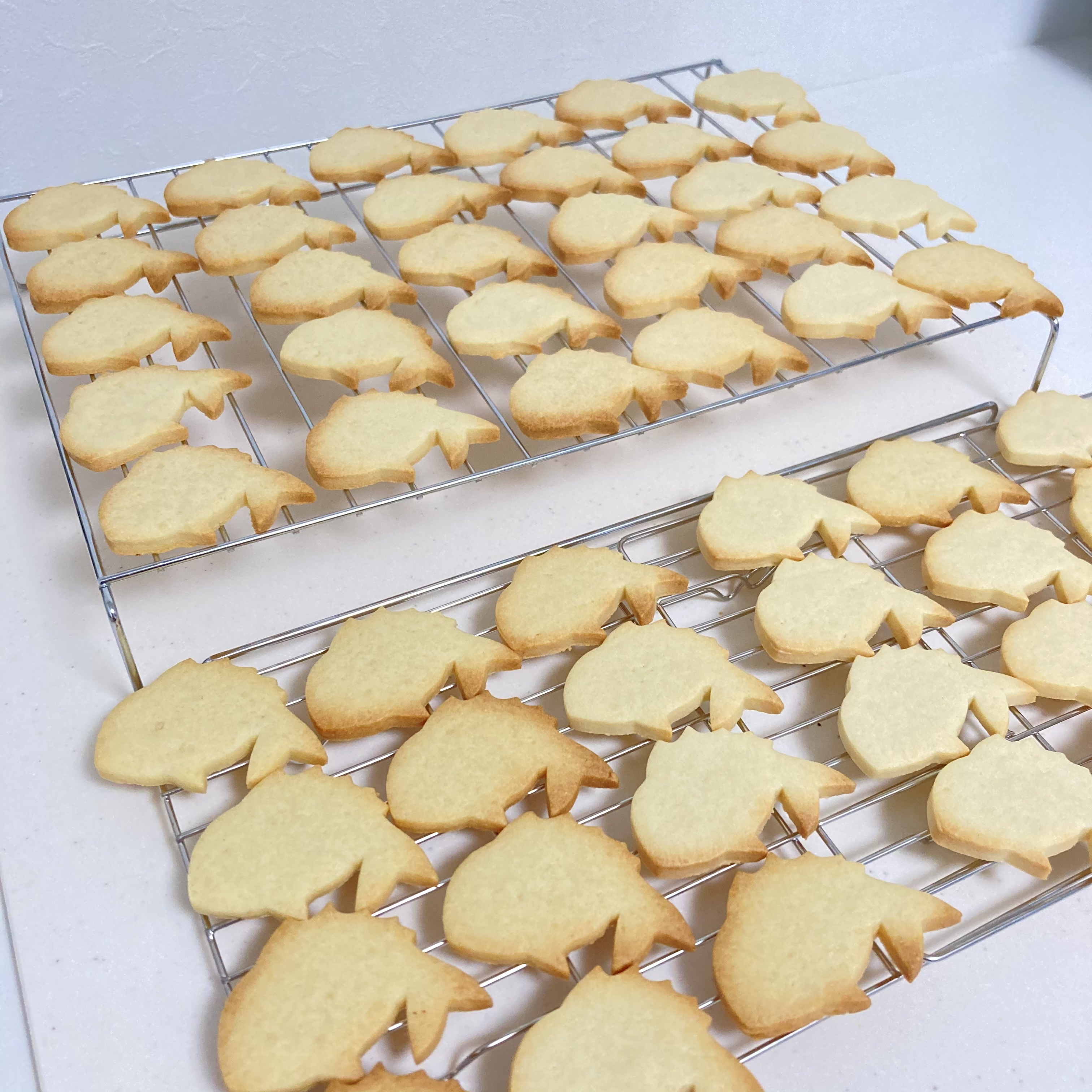 クッキー屋の黄金週間《なんだかんだ言っても嬉しさしかありませんですわ~②》