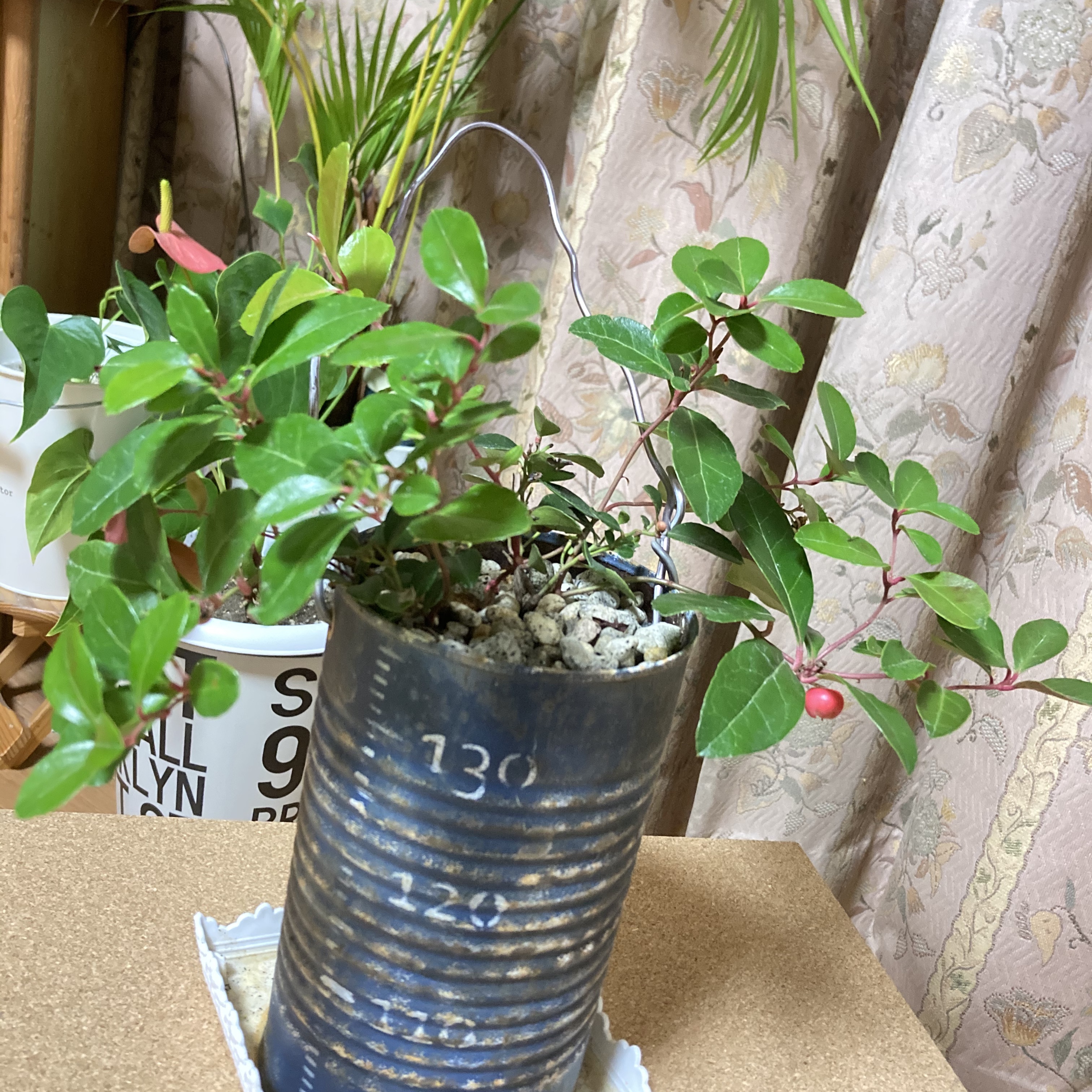 育てると育む《違いは愛情の度合いらしいです》