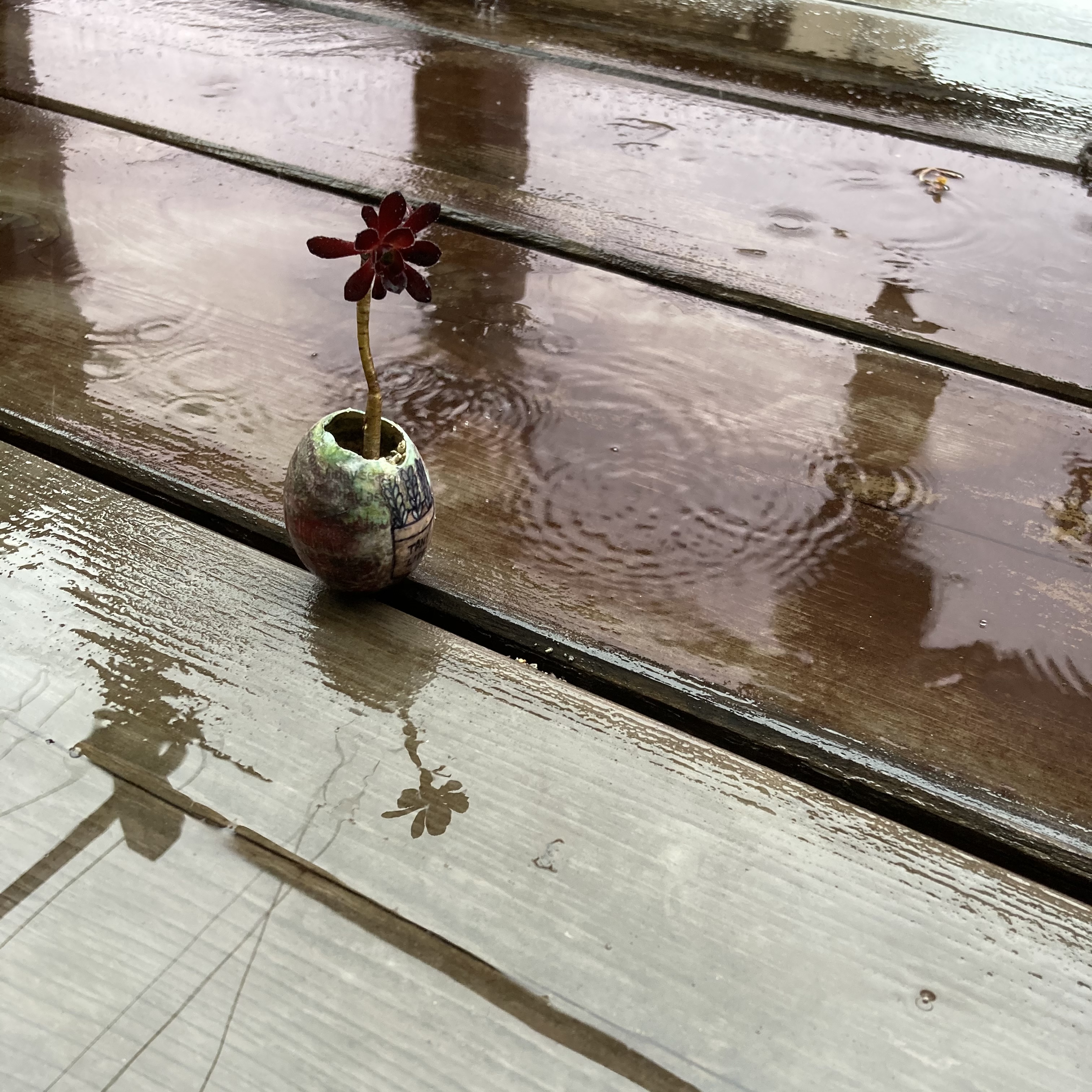 何だったんだ❓《大雨予報》