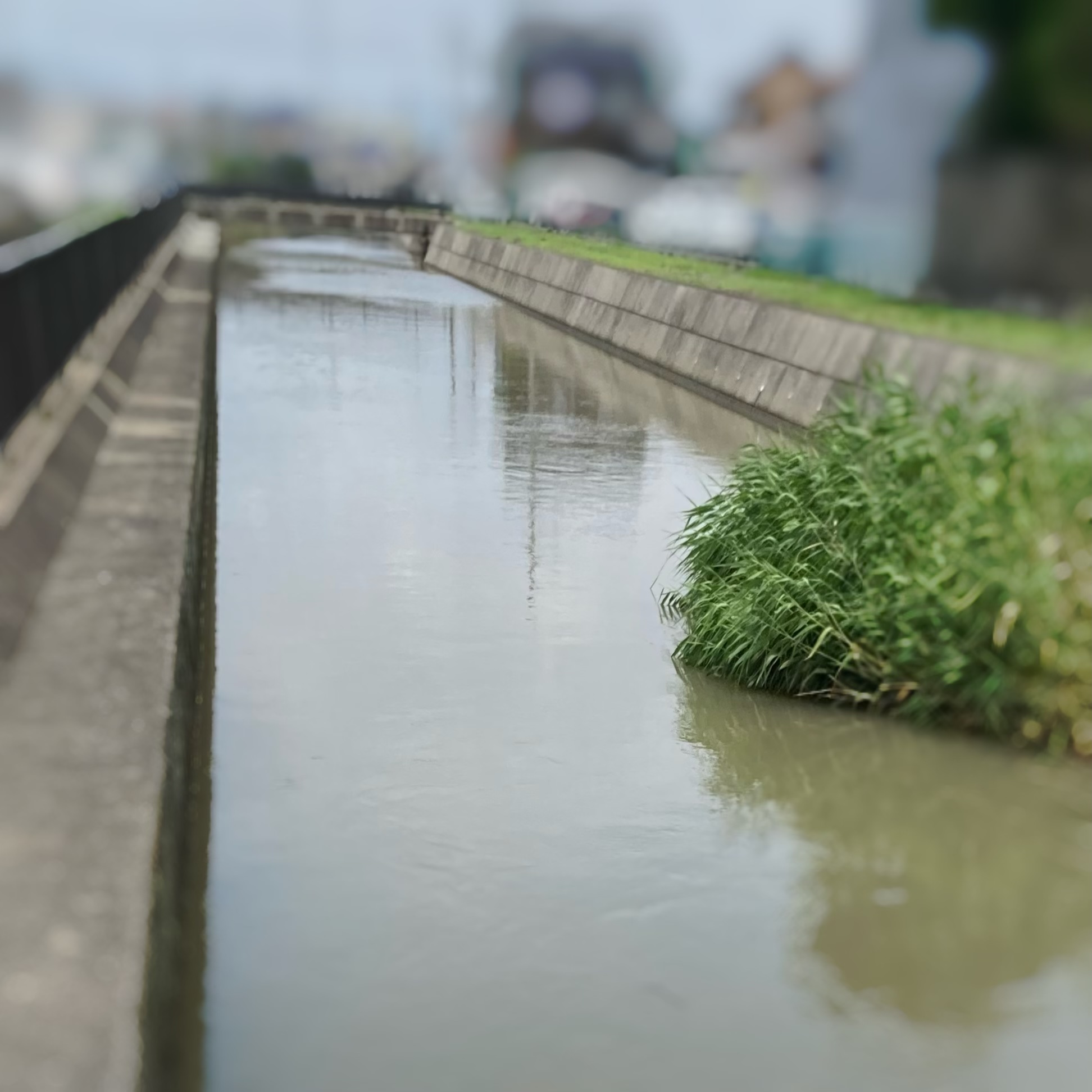 梅雨ですが《こんなにまとめなくてもイイんじゃないだろうか？》