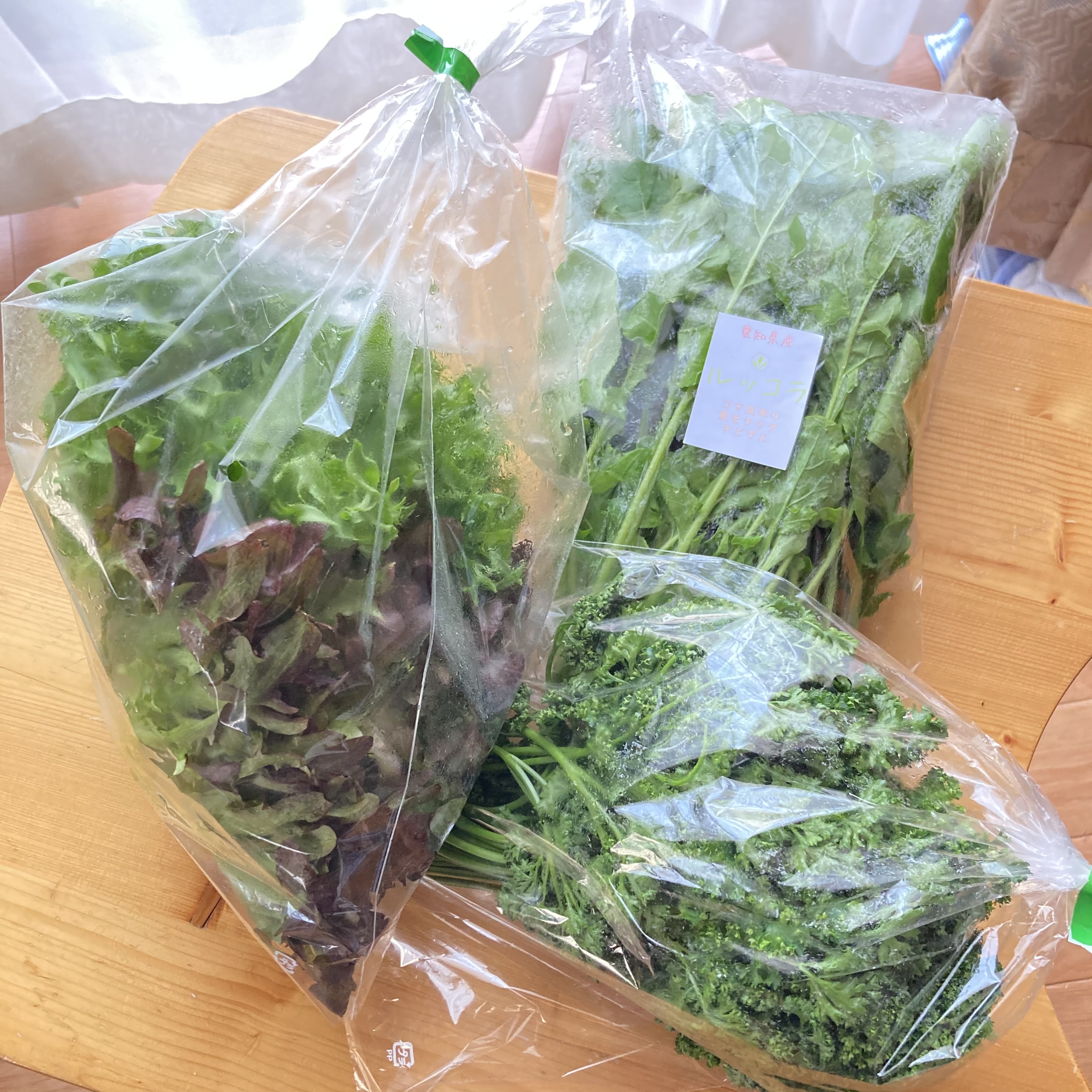 美しく美味しい野菜たち《人気の理由があるんです》