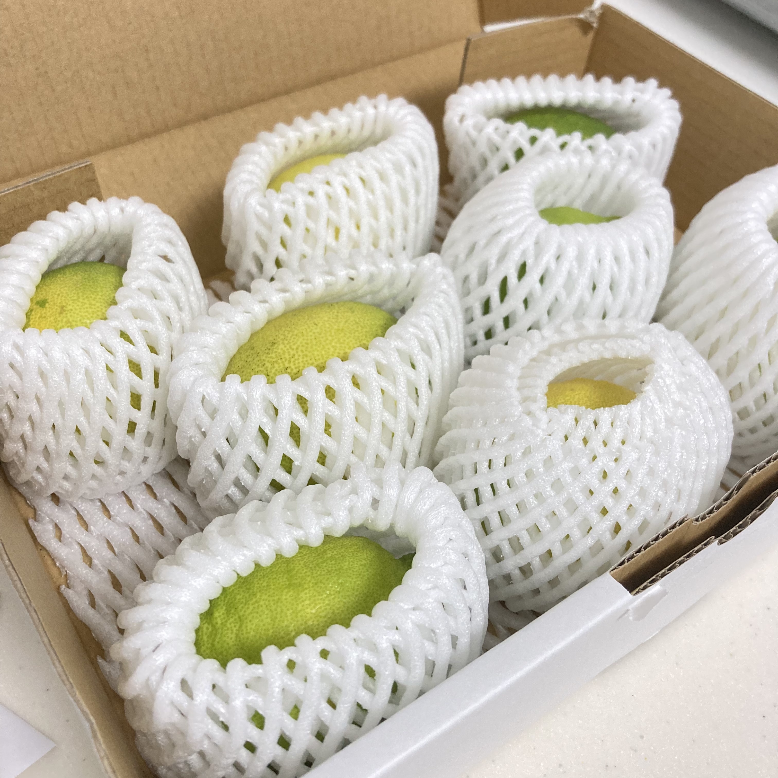 神の島から来た《農薬不使用フルーツ》