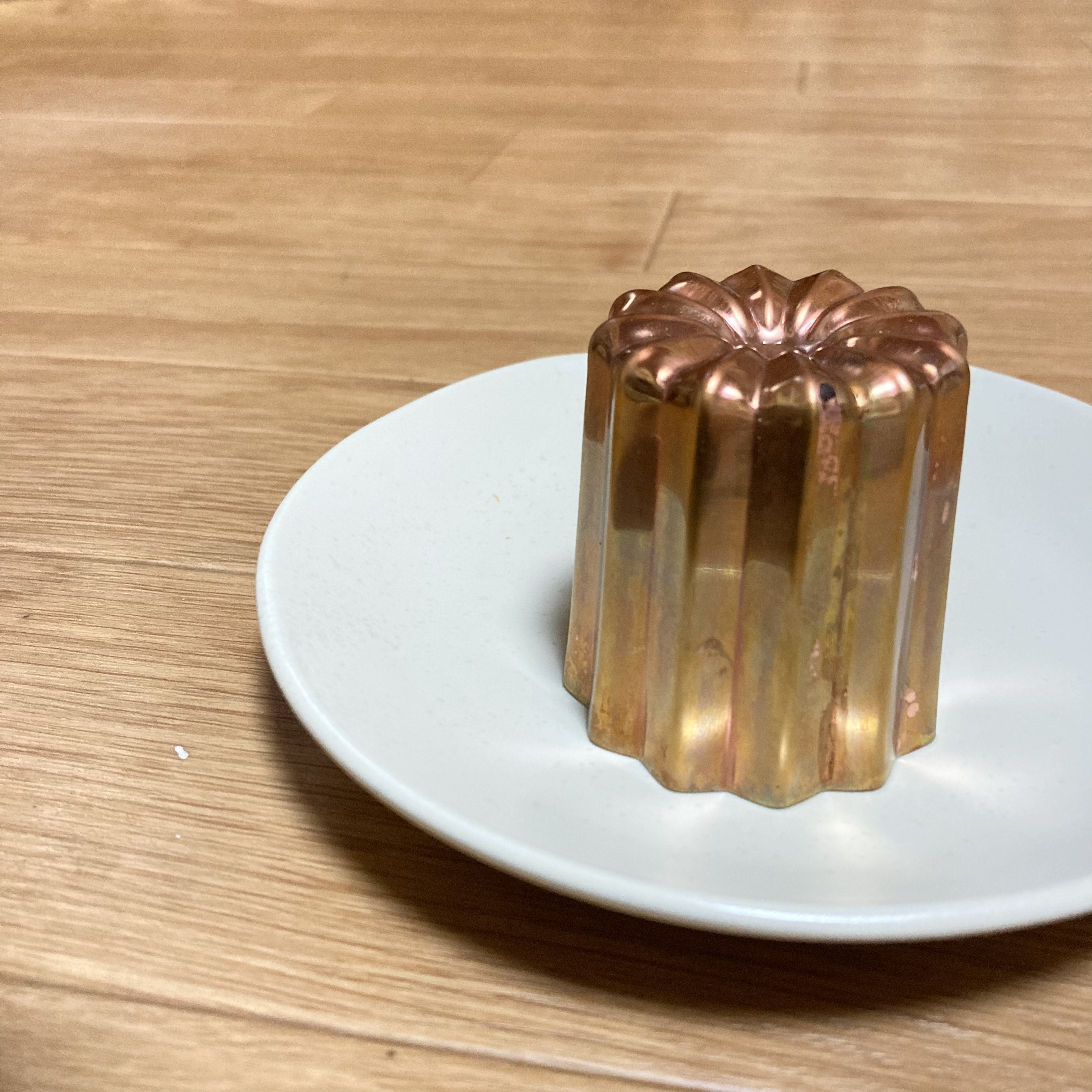 何故だ⁉︎ 何故焼けない⁉️《それはもー、心折れるくらいに》