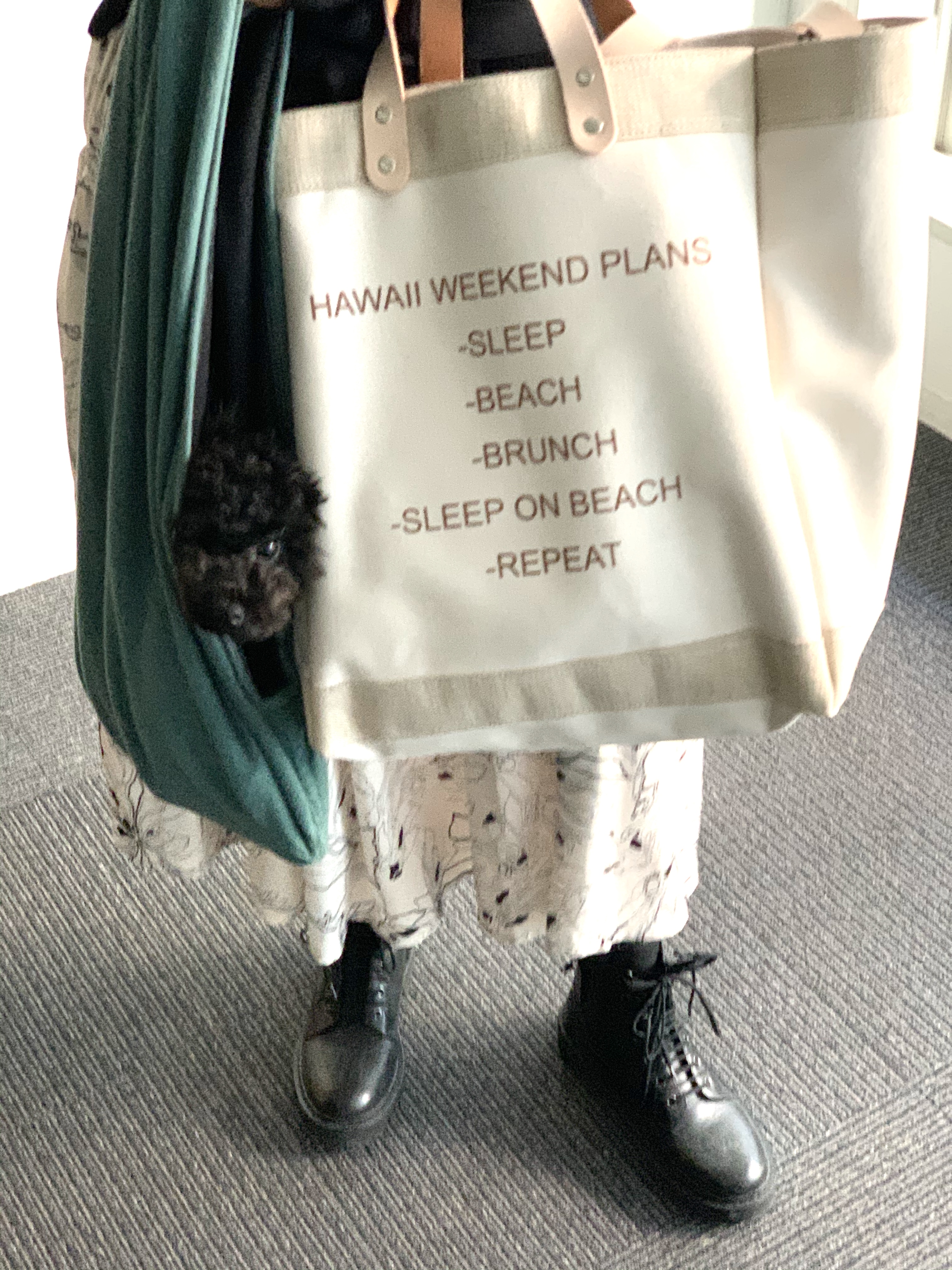 うちのワンちゃん