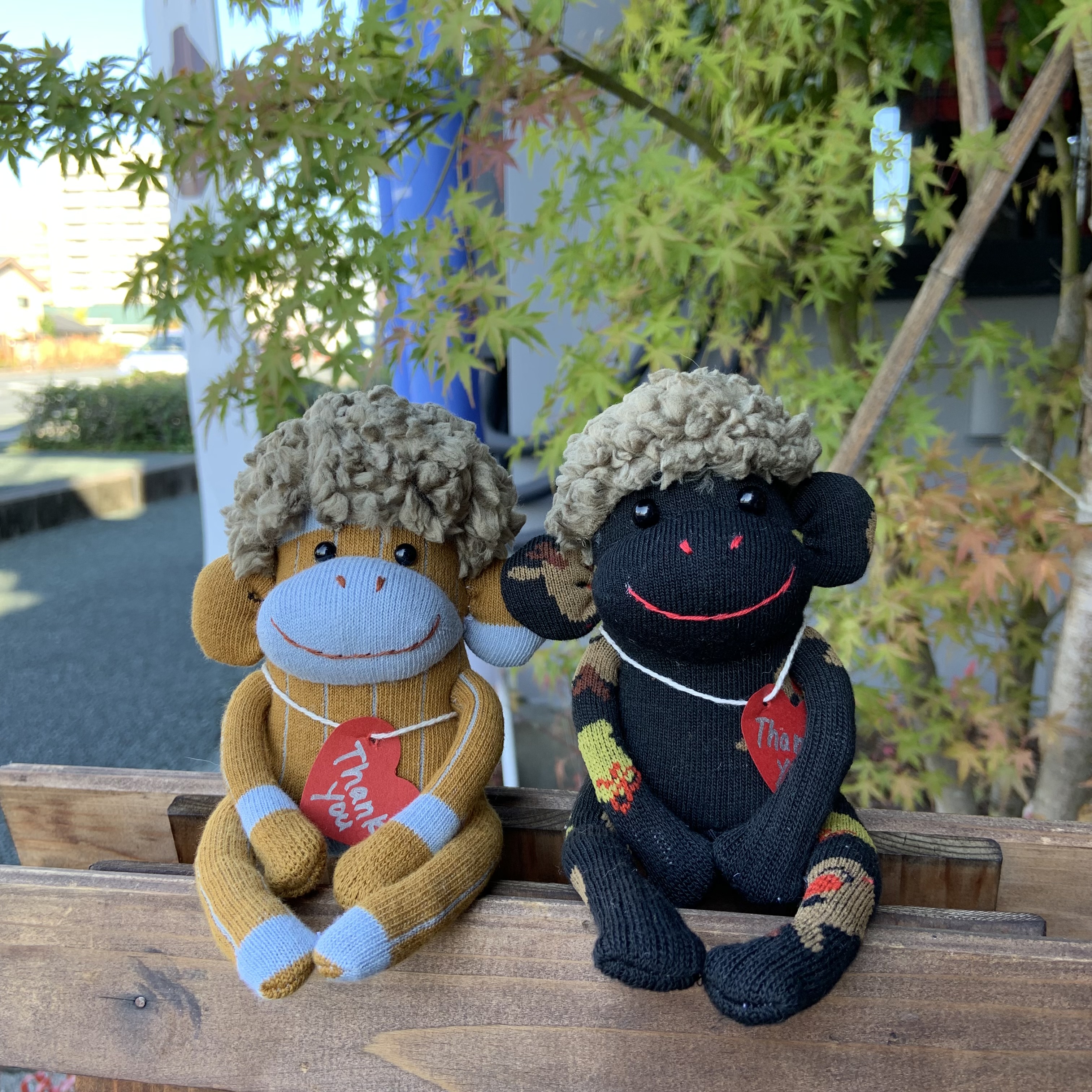 髪の毛ついたよ🐒