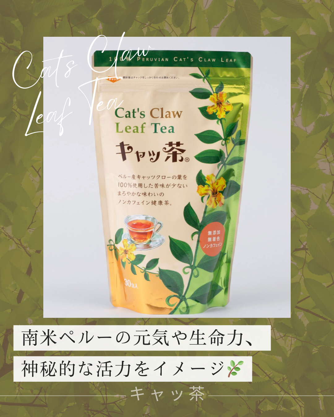 パッケージ✨リニューアル✨