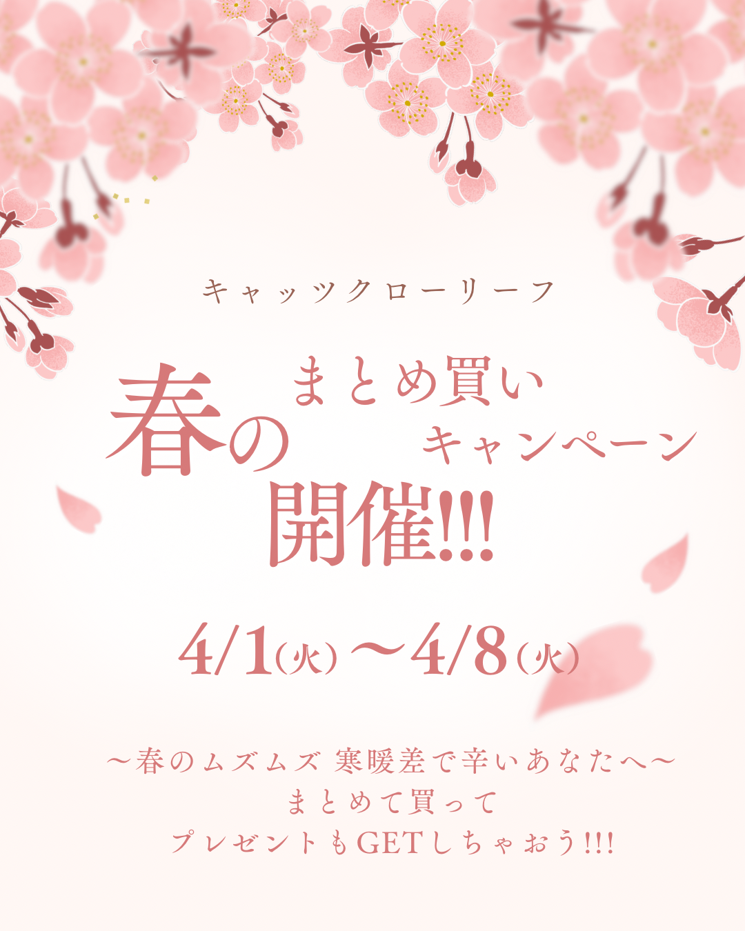 🌸春のまとめ買いキャンペーン🌸