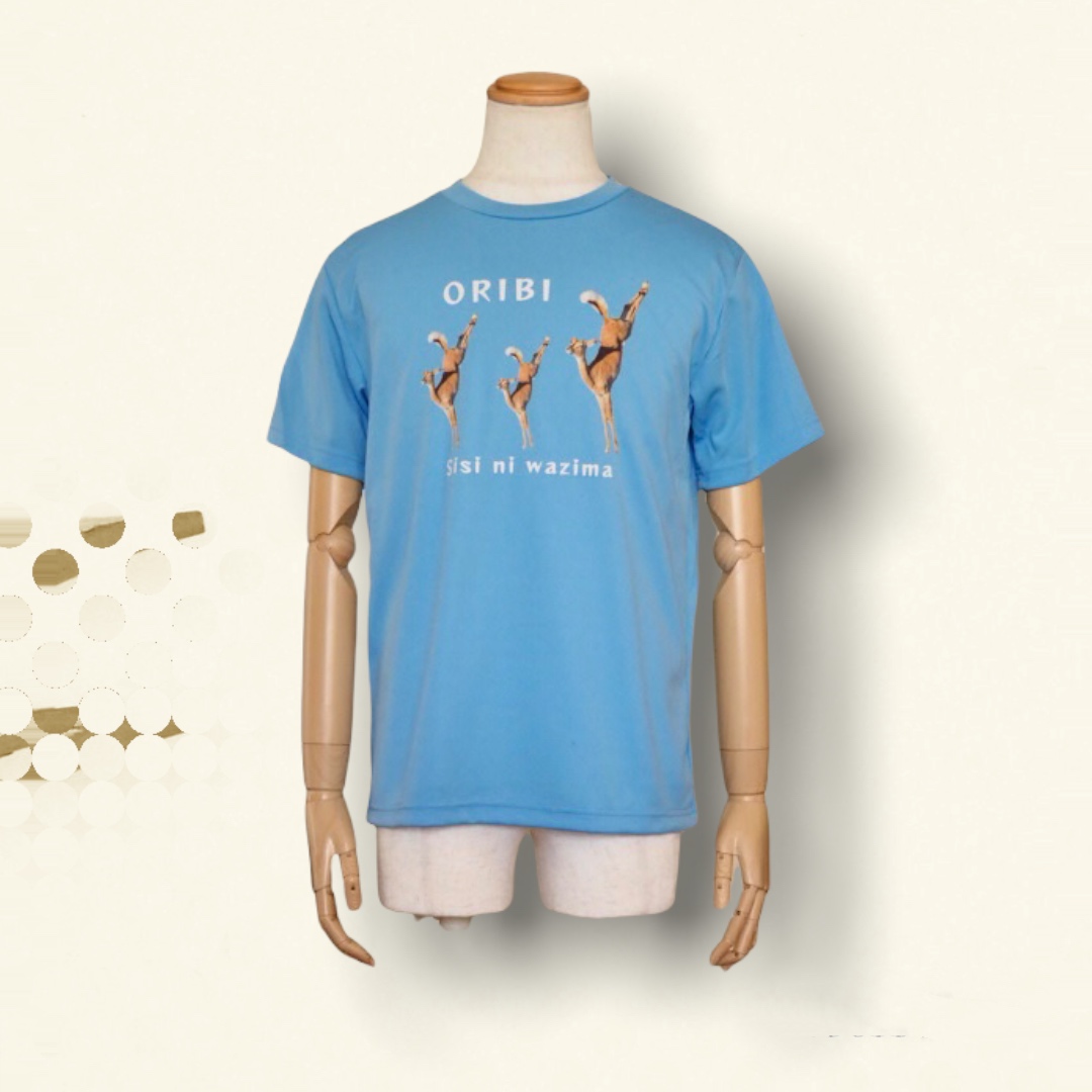メンズTシャツ、入荷しました！　GLIMMER ドライ Tシャツ サックス　{メンズ｝オリビ