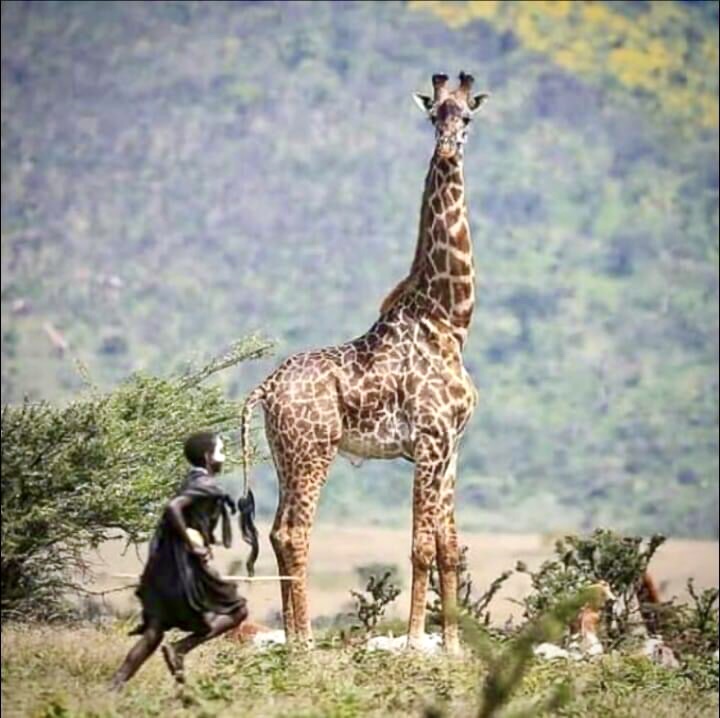 タンザニアの友達からの写真