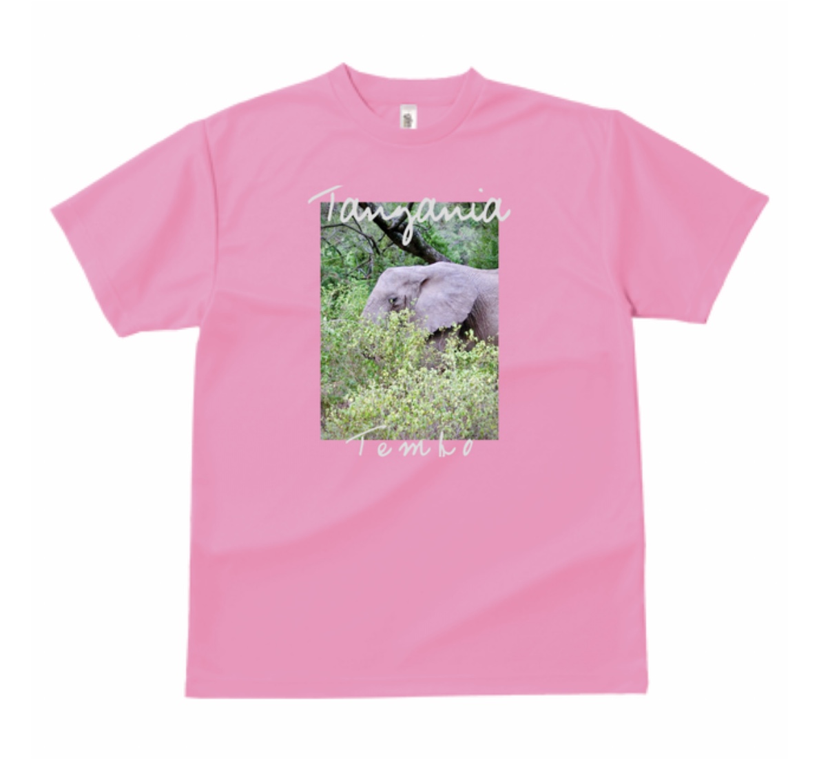 Tシャツ等のサイズが選べるようになりました !