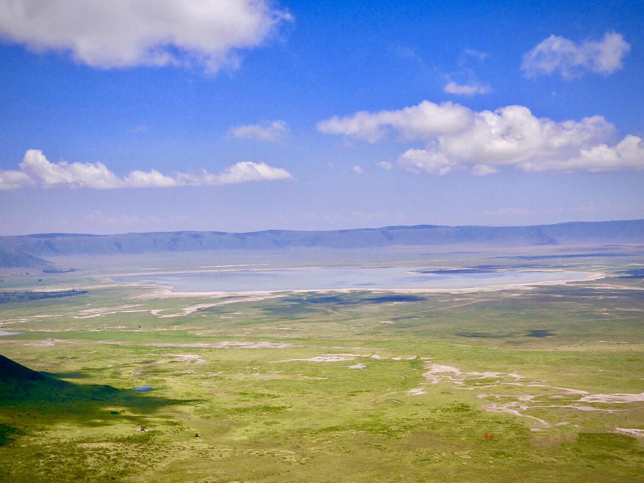 【サバンナ追想記】ビールとゾウと、ンゴロンゴロの風。