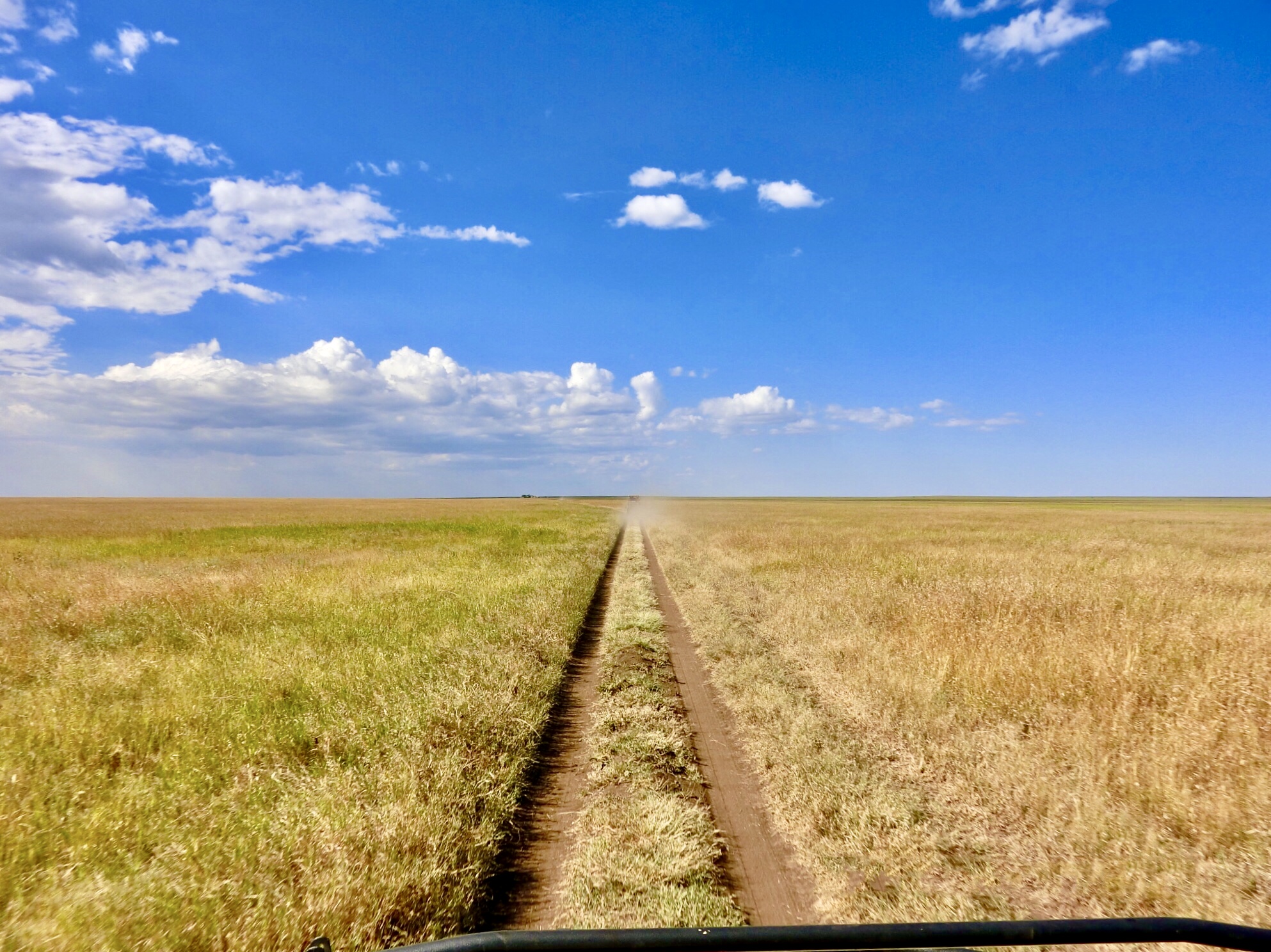 澄んだ空気、360度草原が広がるセレンゲティ国立公園。