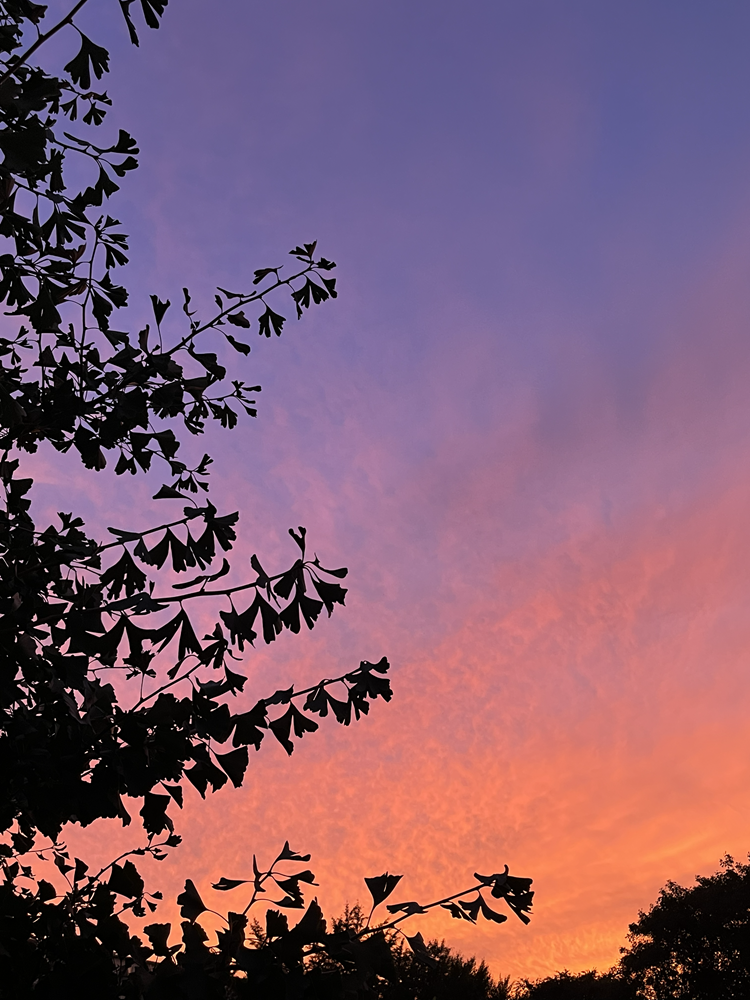 １０㎝の心象画を掲載しました！