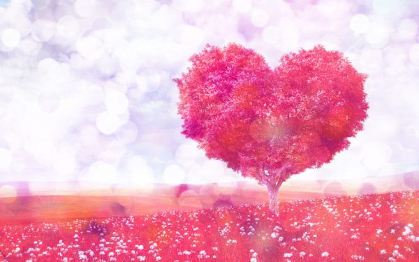 *デブ菌とヤセ菌って知ってる?腸内環境を整えてきれいにダイエット