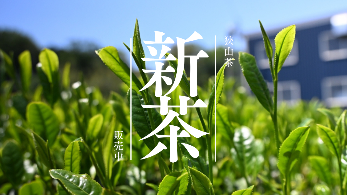 2026年の新茶ができました
