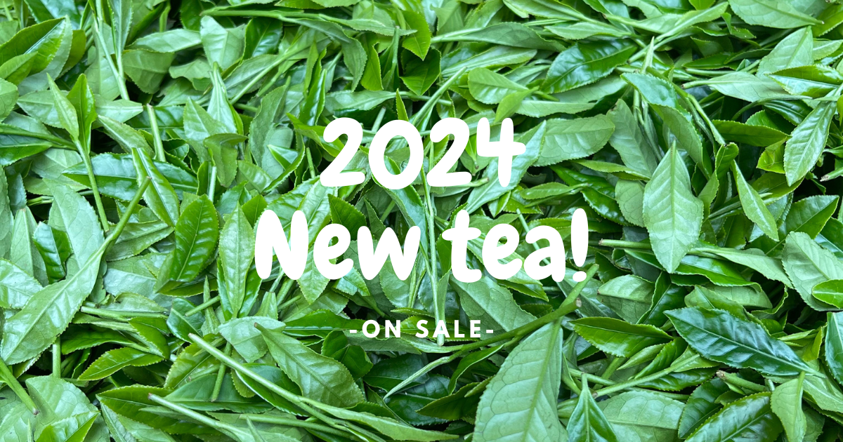 2024年新茶の販売が始まりました！