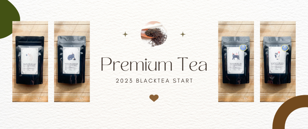 2023 特別な和紅茶 販売開始です！