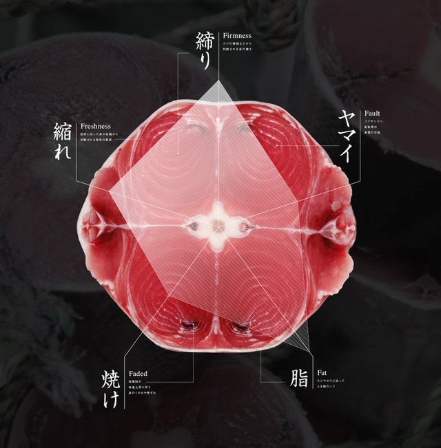 【豊洲市場のマグロの選び方】プロが教える“失敗しない本物の見極め方”