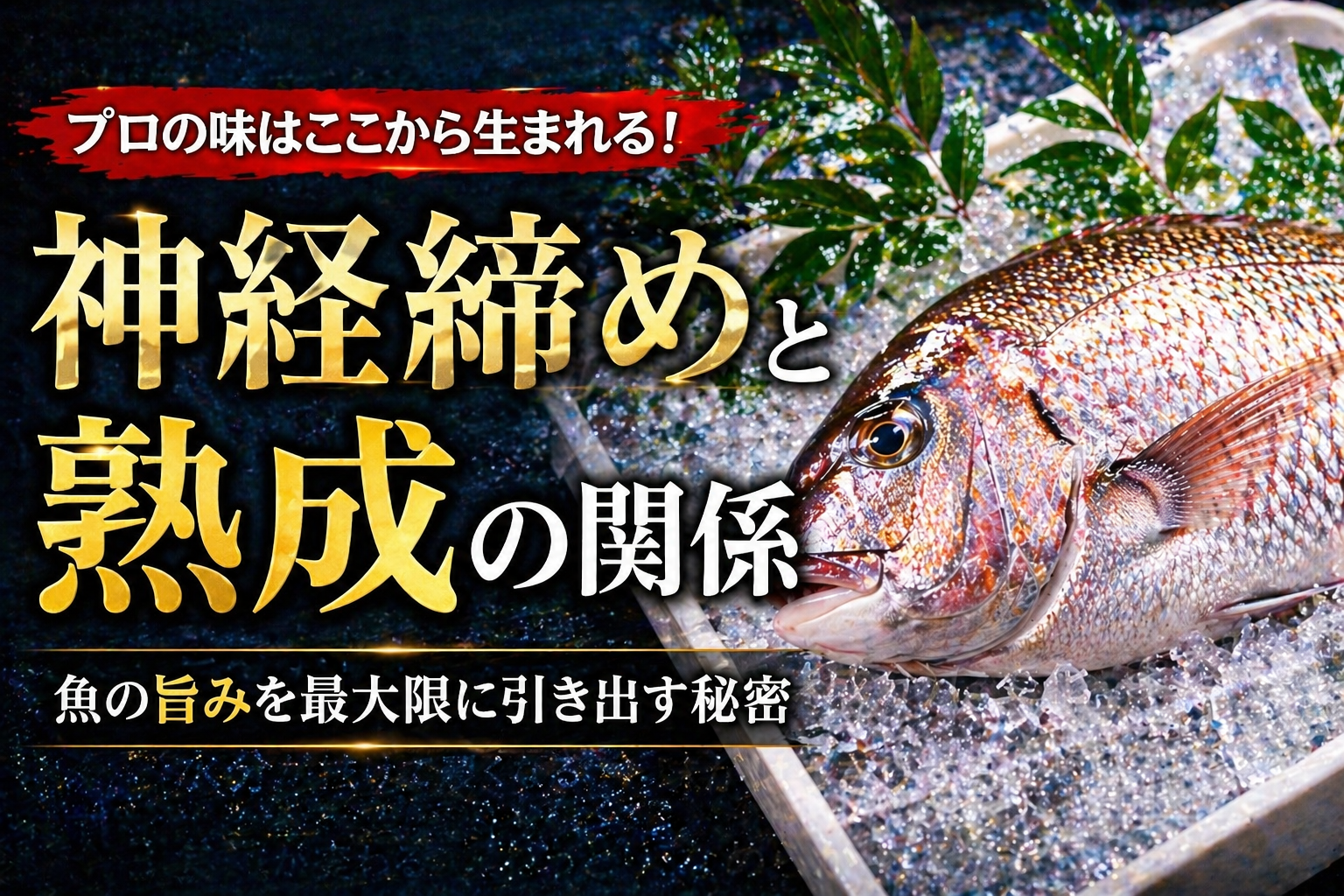 【神経締めと熟成の関係】なぜプロは“締め”にこだわるのか