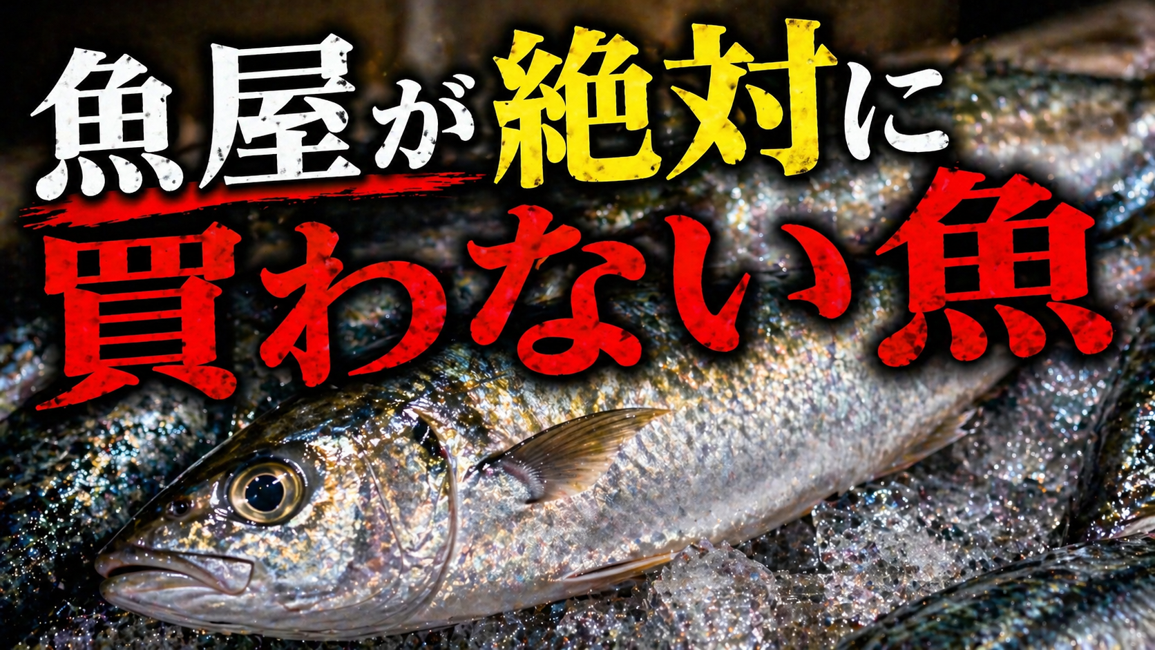 【魚屋が絶対に買わない魚】プロが見た瞬間に避ける特徴