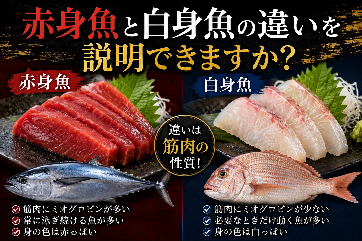 赤身魚と白身魚の違いを説明できますか?
