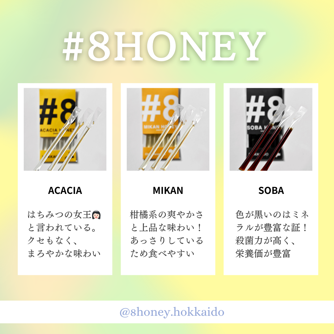 あなたも今日からハチ活してみませんか？🐝
