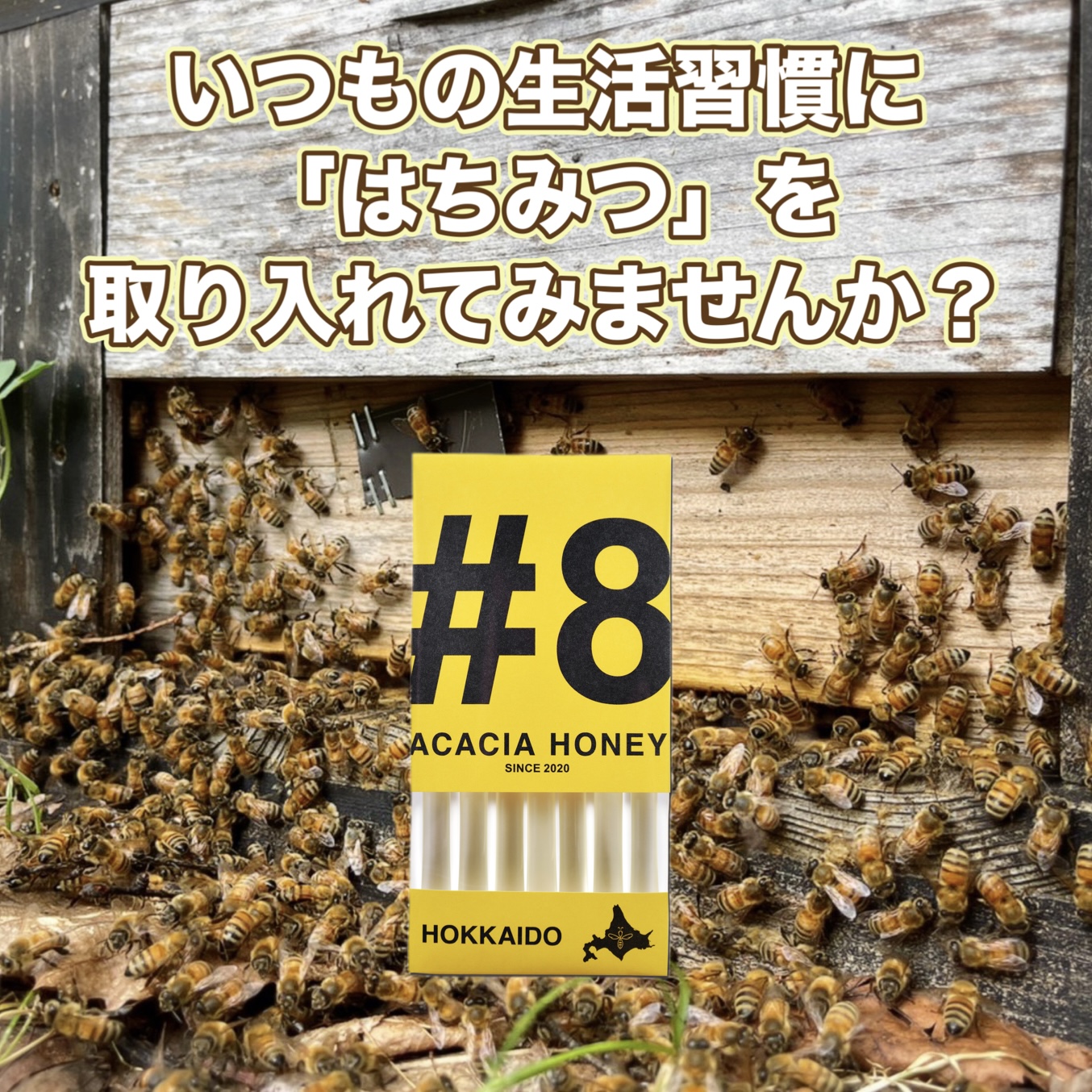 いつもの生活習慣に  「はちみつ」を取り入れてみませんか？🐝