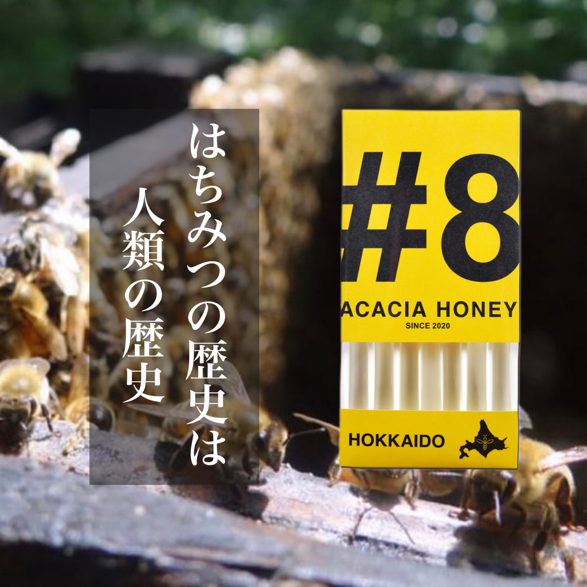 \ はちみつの歴史は人類の歴史 /