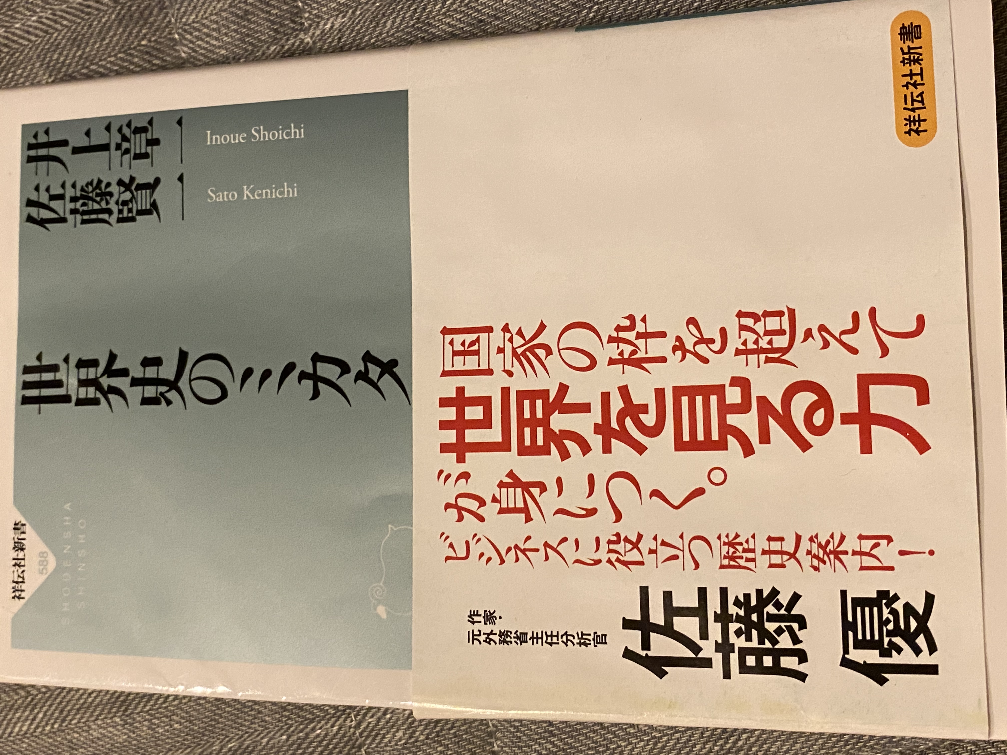 世界史のミカタ  井上章一･佐藤賢一 著