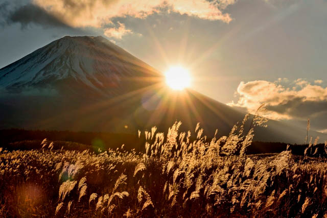 年末年始休業のお知らせ