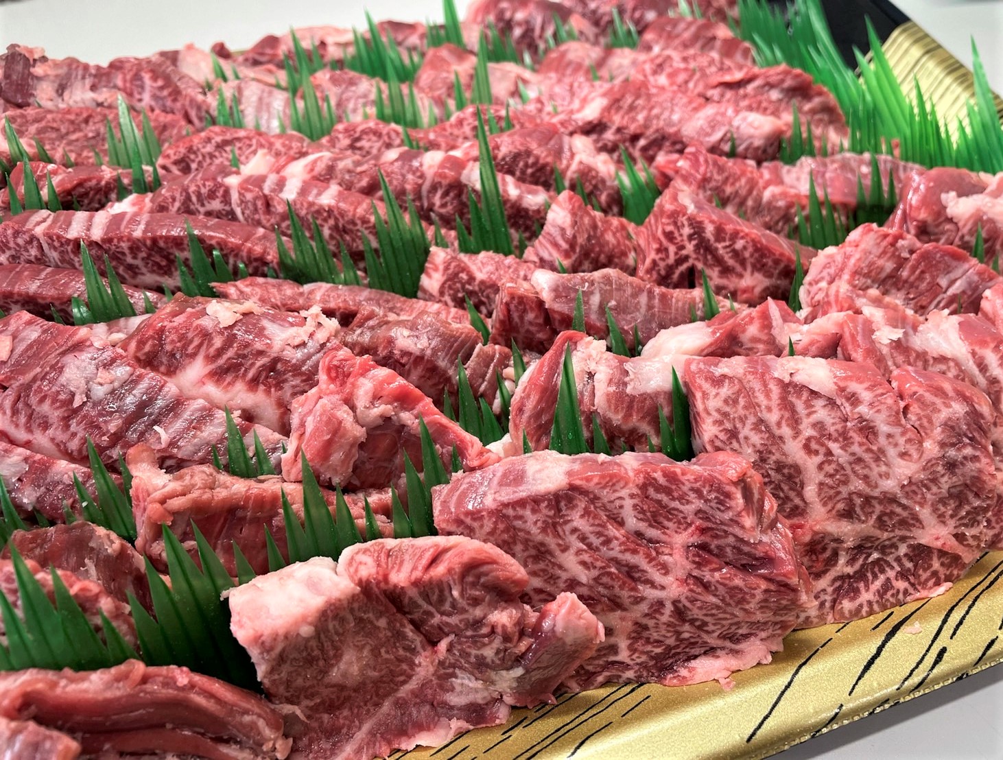 本日最終日！！！
