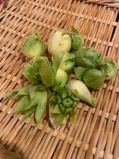 届いたお野菜で作ってみました：3月編②