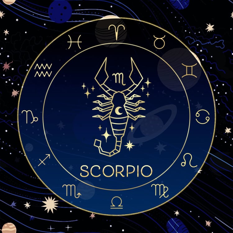 蠍座の星座石☆