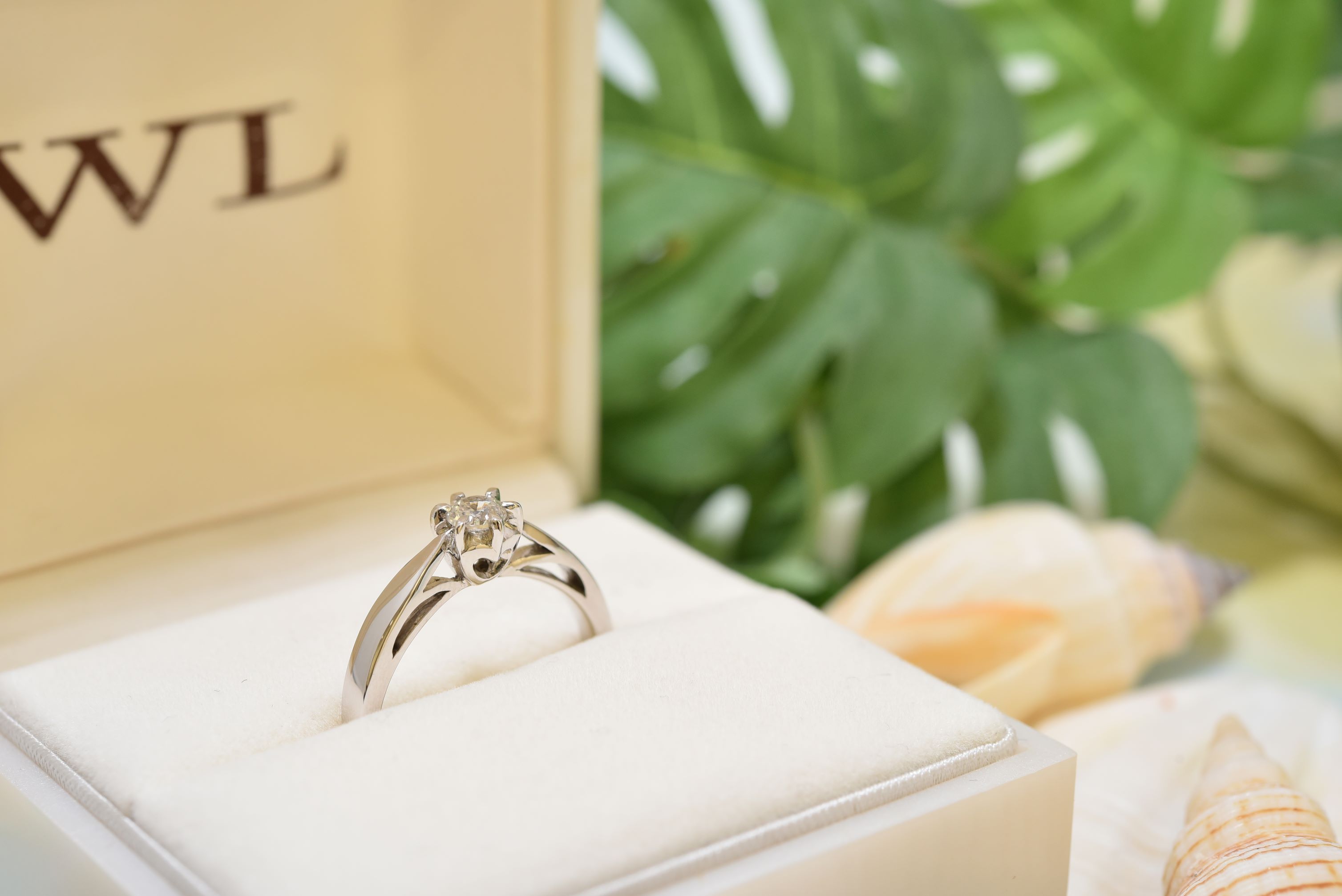 人生最高のプロポーズに💍