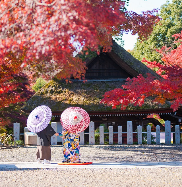 大安に入籍する理由とは！？