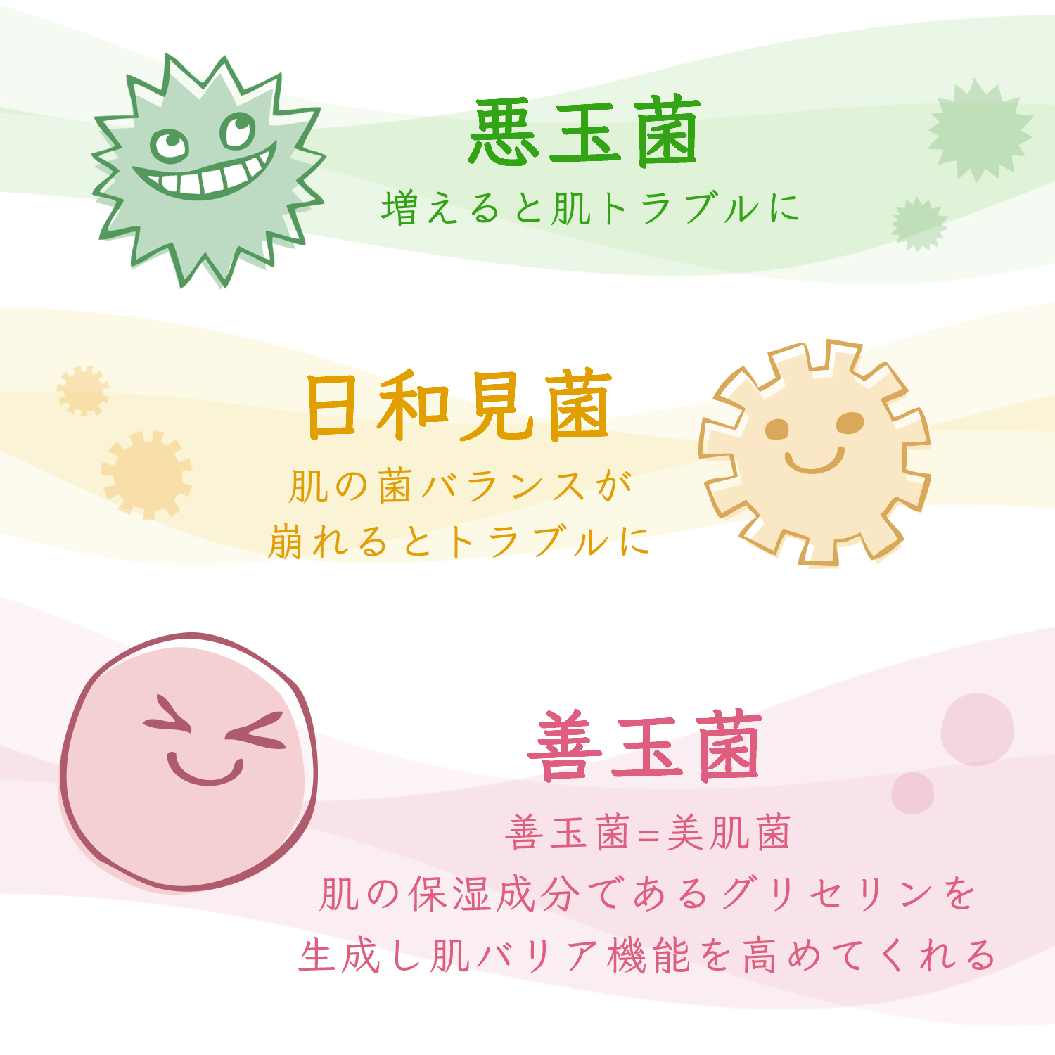 お肌の潤いを生む美肌菌って?