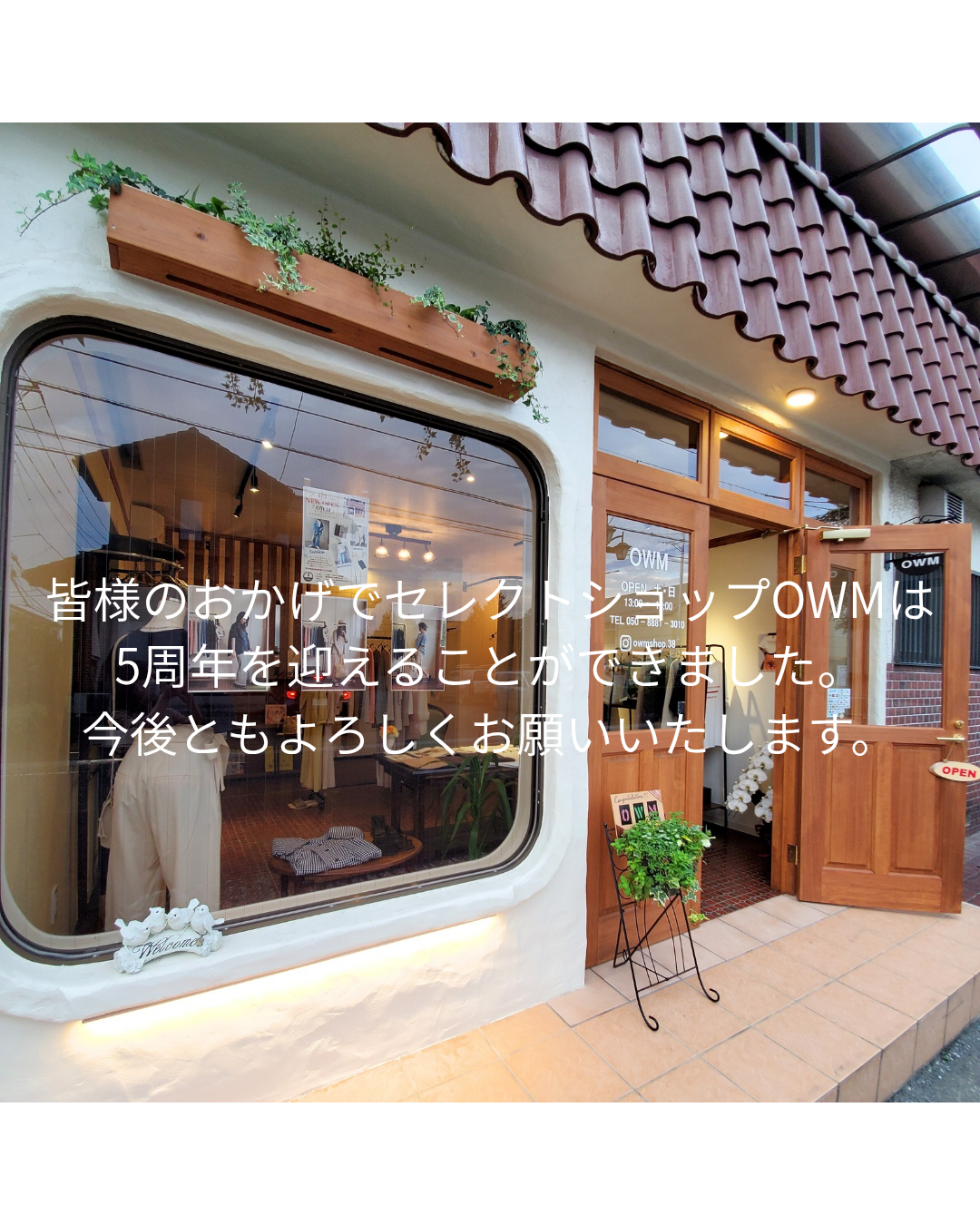 5年のあゆみ