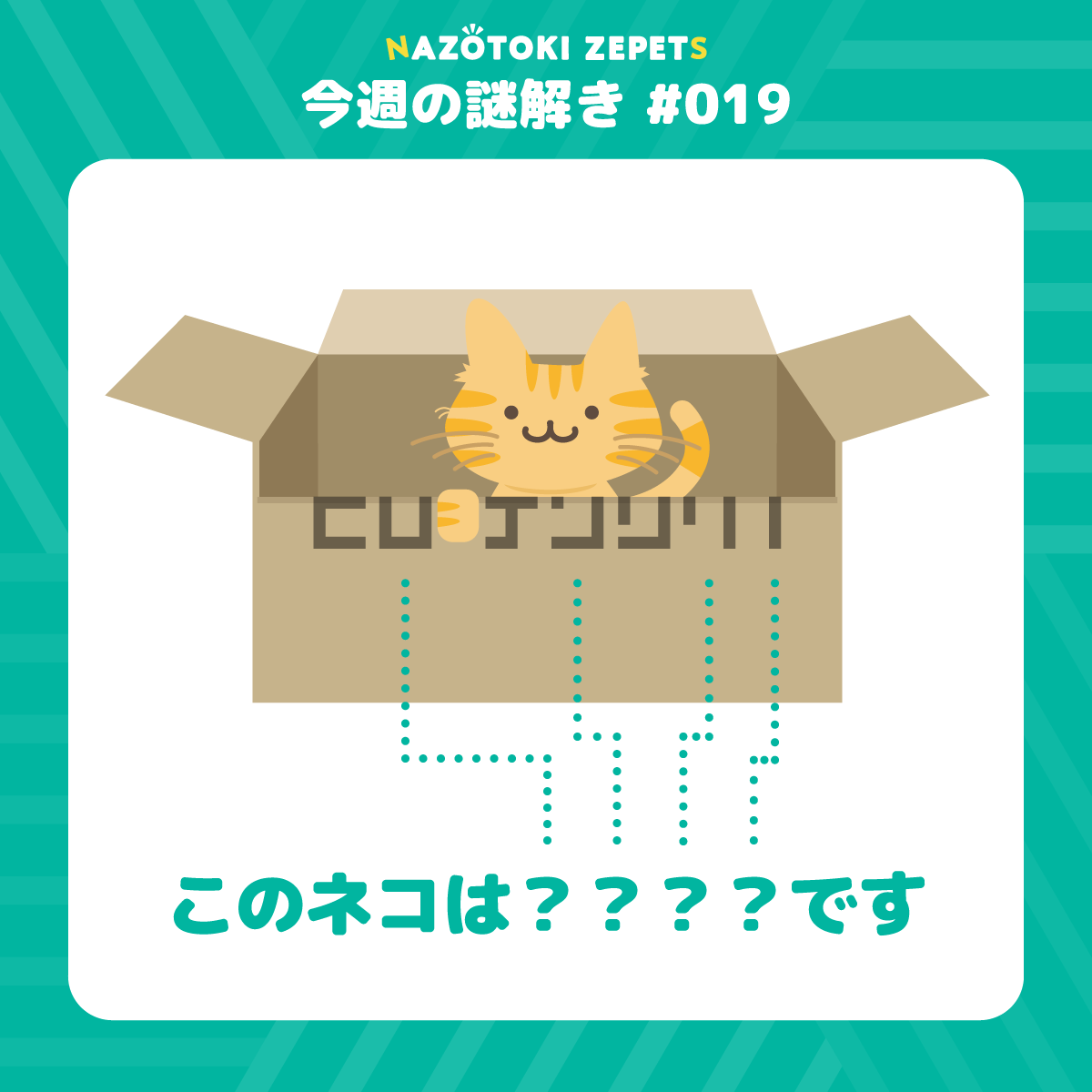 今週の謎解き #019 とその解答（2026年4月13日分）