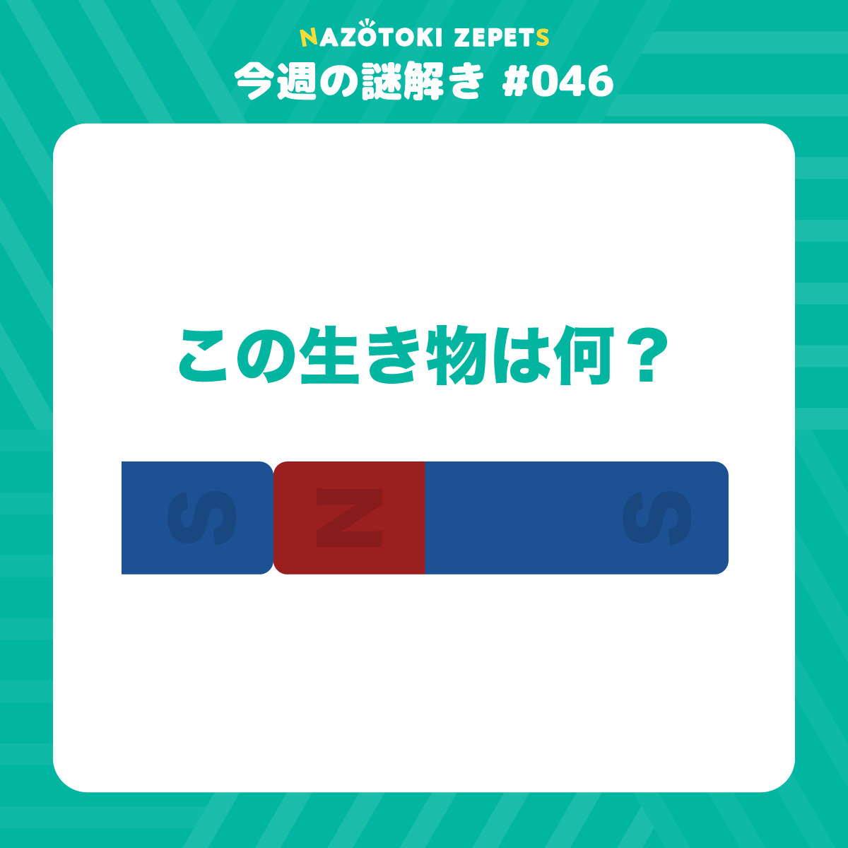 今週の謎解き #046 とその解答(2026年10月26日分)