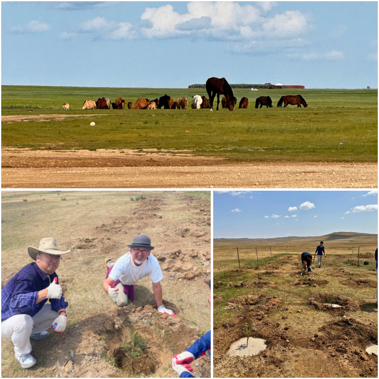 第2回植林レポート(2025年6月)