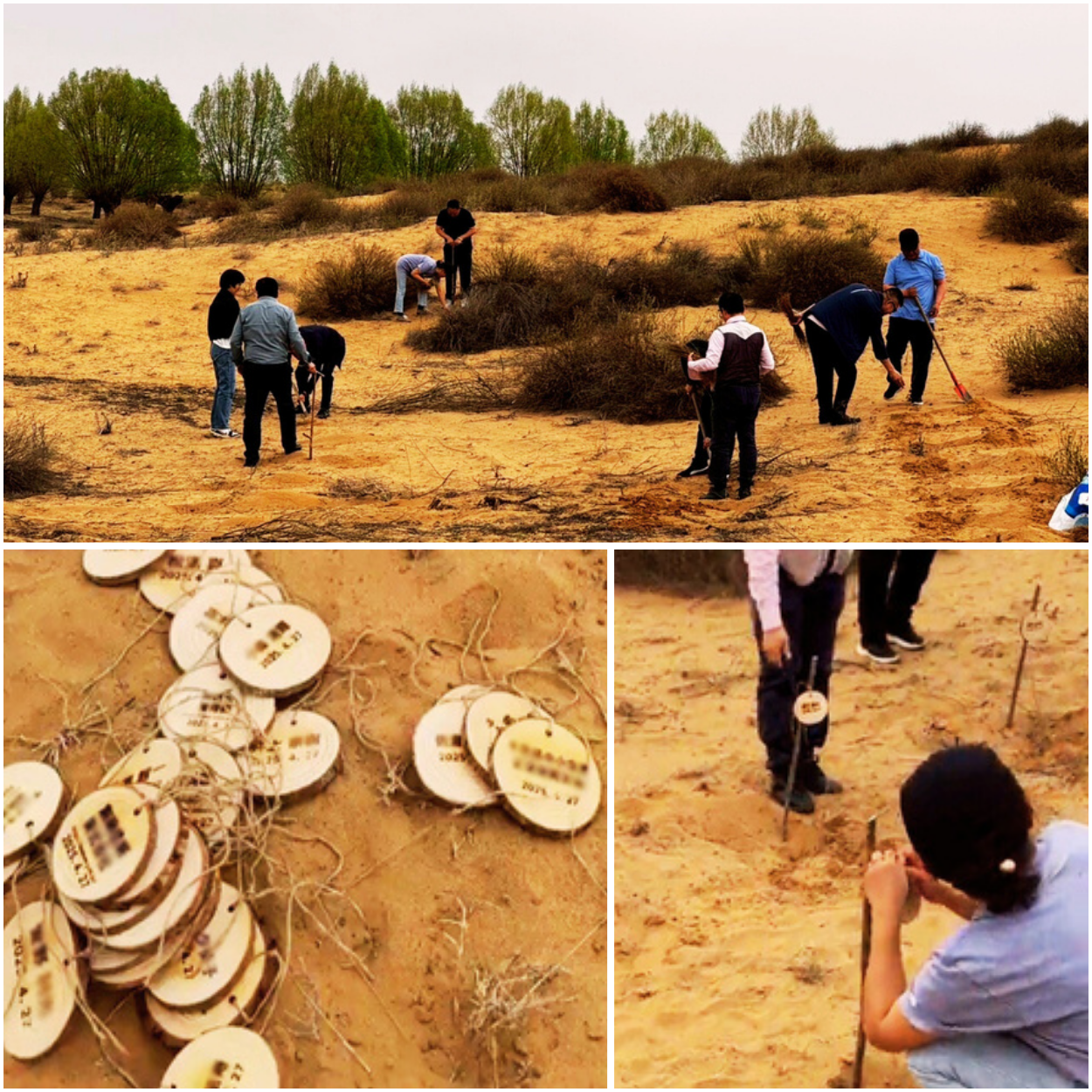 第1回植林レポート(2025年4月)