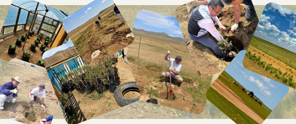 BLOG　～１点の購入が１本の木になる～