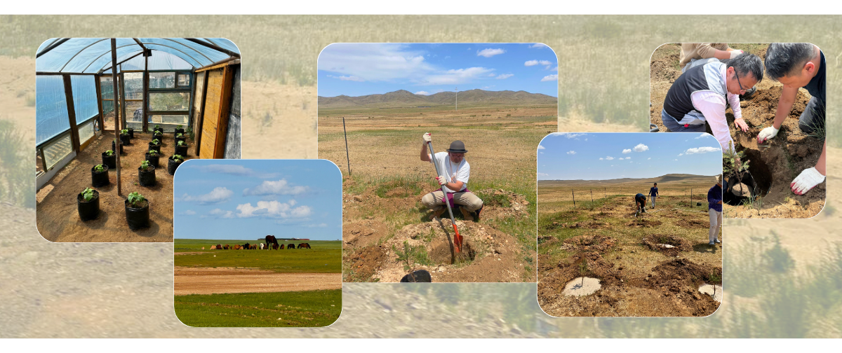 砂漠緑化プロジェクト ~1点の購入が1本の木になる~