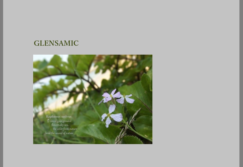 GLENSAMIC