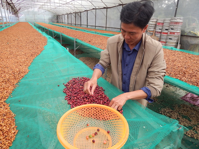 ベトナムで起きるコーヒー豆の革命を語ろう。あの感動をご一緒に！