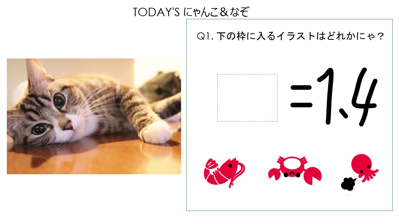 にゃんこ＆なぞ