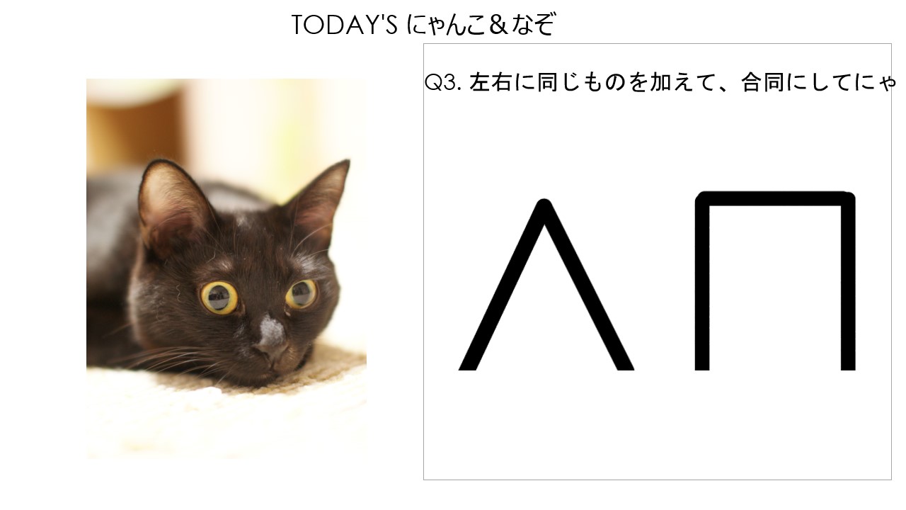 にゃんこ＆なぞ