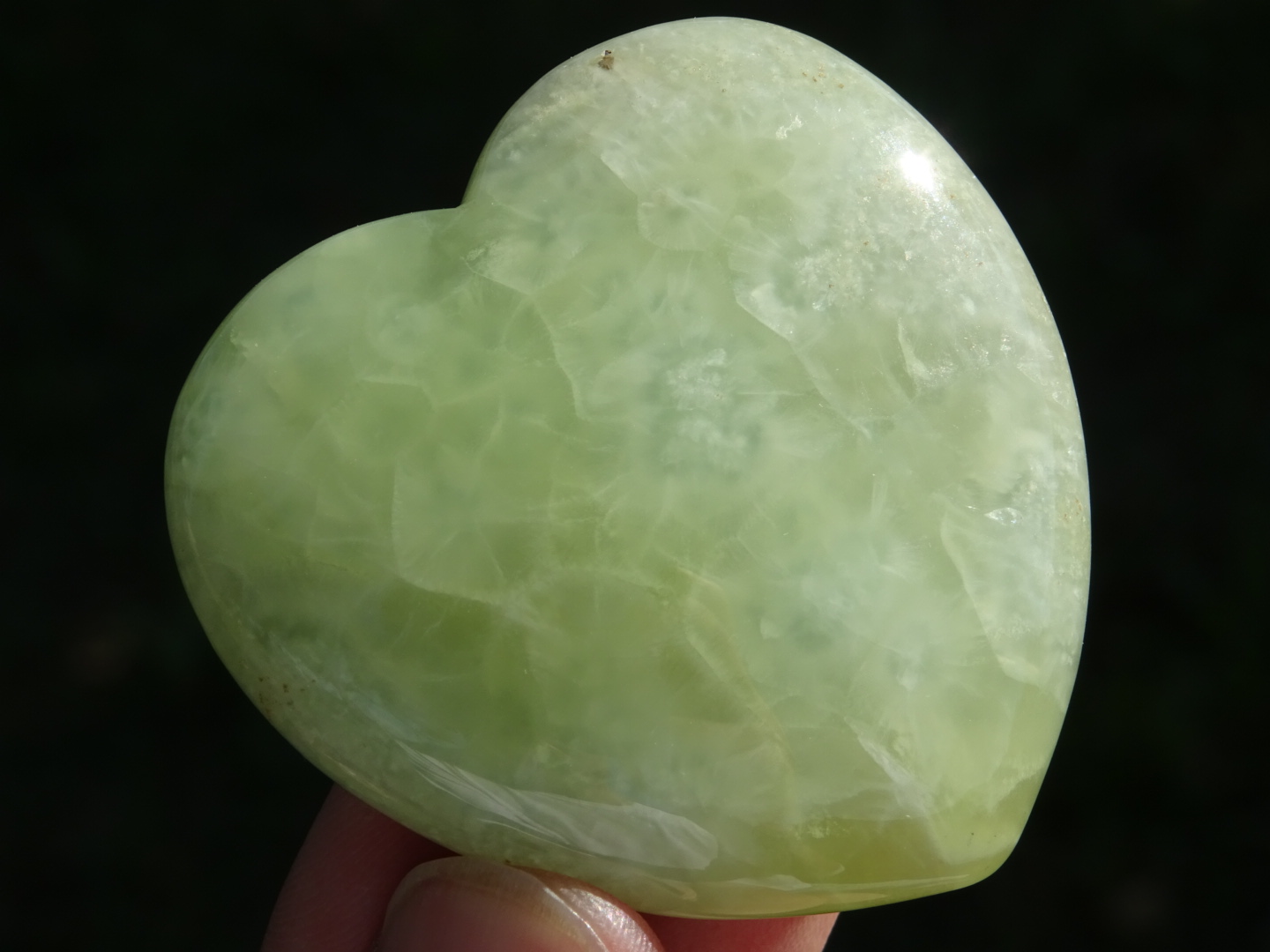 風のGreen、美しいプレナイトたち